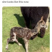 norwayspruce:secretivepotato:leafcrunch:icrsftlom-deactivated20210618:cognitohazardous:im