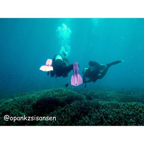 Cruising #bonsayrock #labuanbajo #cndive #komodo #flores #ntt #indonesia #scubadive #diving #underwa