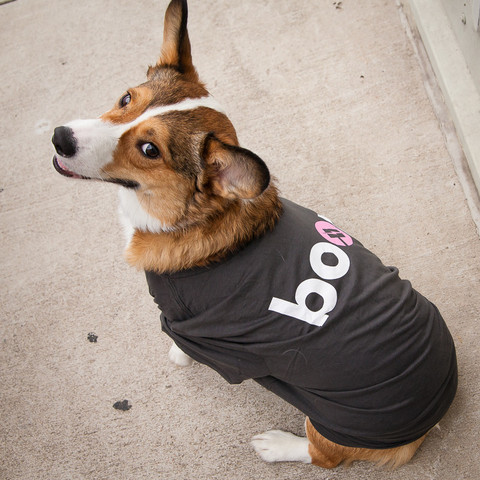 ahwuu:  4 Very Important photos from the RWBY Store Takeover