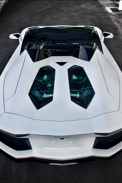 eyecndy:  affluence-de-la-vie:  source  Lamborghini Aventador LP700-4 Roadster