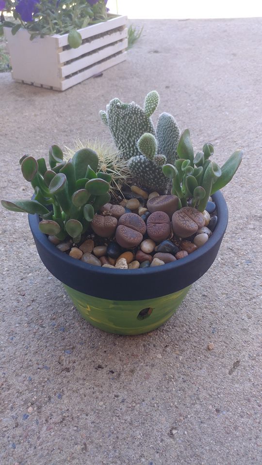 feeelingalright: I bought all but one of these today. It was a pain in the butt getting