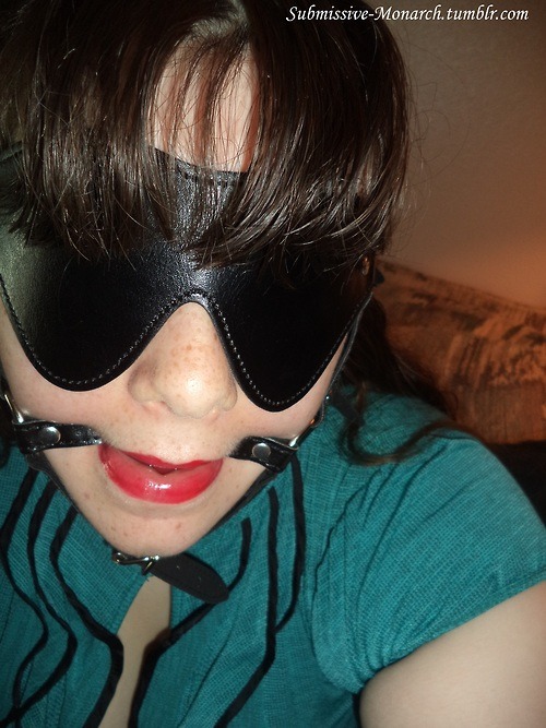 kitten-doll:  submissive-monarch:  casually-collared:  submissive-monarch:  amateurgags: