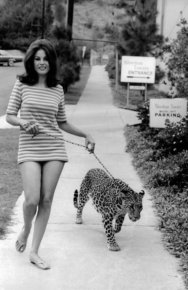 20th-century-man:  Lana Wood, 1966.