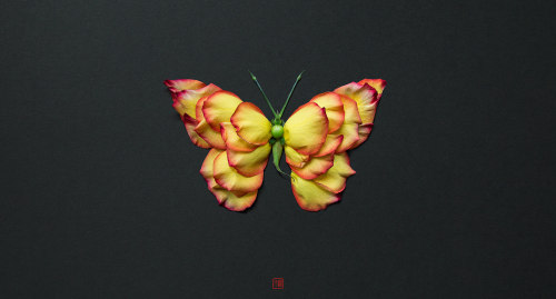 Raku Inoue ,  and his insects Raku is a “ Floral Artist Extraordinaire” who hails from Montreal , he