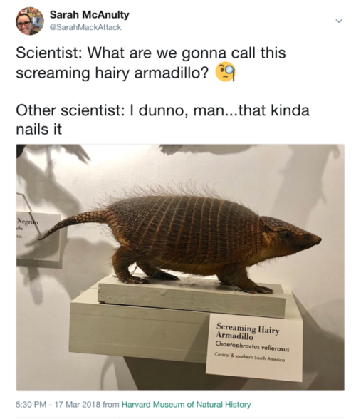 needsmoreresearch:squidscientistas:Follow me on twitter for more nonsense like this i raised some pr