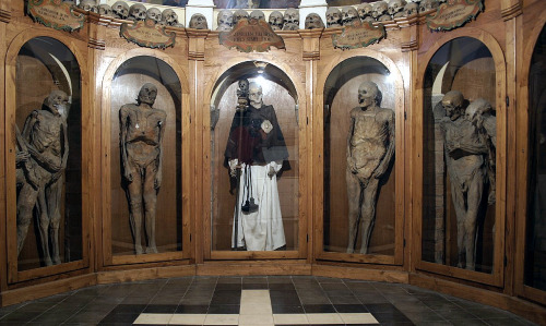 mortem-et-necromantia:  Vincenzo Piccini is the only clothed mummy in the Chiesa Dei Morti of the Confraternity of Buona Morte in Urbania, Italy. He is dressed in the robes of the religious order he was a member of and he wears the silver badge of Death.