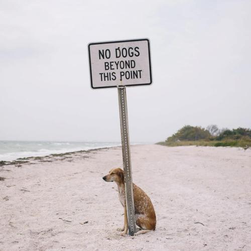 =(  Poor guy.