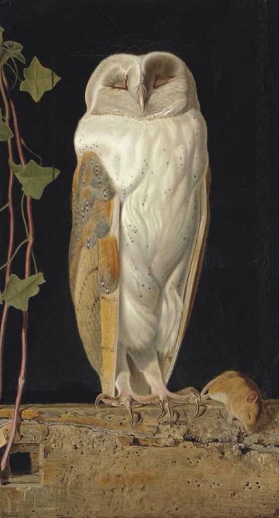 a-little-bit-pre-raphaelite:Il Barbagianni (The Barn Owl) Valentine Cameron PrinsepThe White Owl (‘A