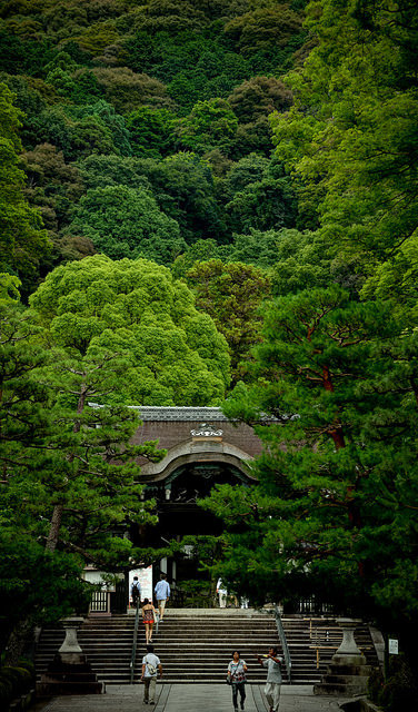 Entrance of the forest (森へ続く境内の道) by christinayan01 on Flickr.