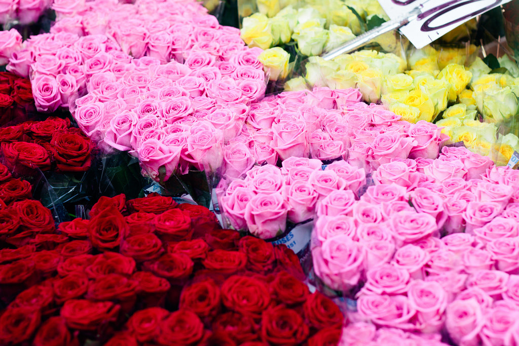 floralls:  columbia road flower market, London (by chevronseclairs)