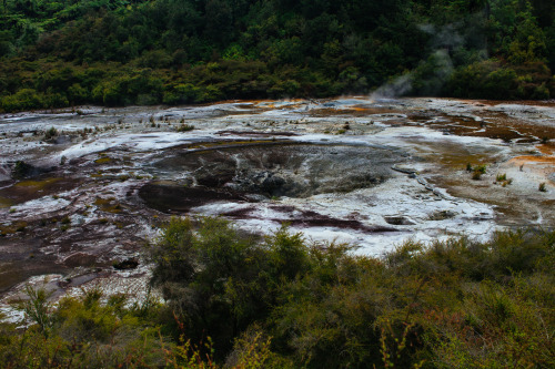 Orakei Korako, Off the Thermal Highway between Rotorua and Taupo, Central North Island, NZ.