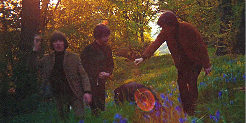 makeitbetters:  There’s a Ringo jumping like a frog in my blog  