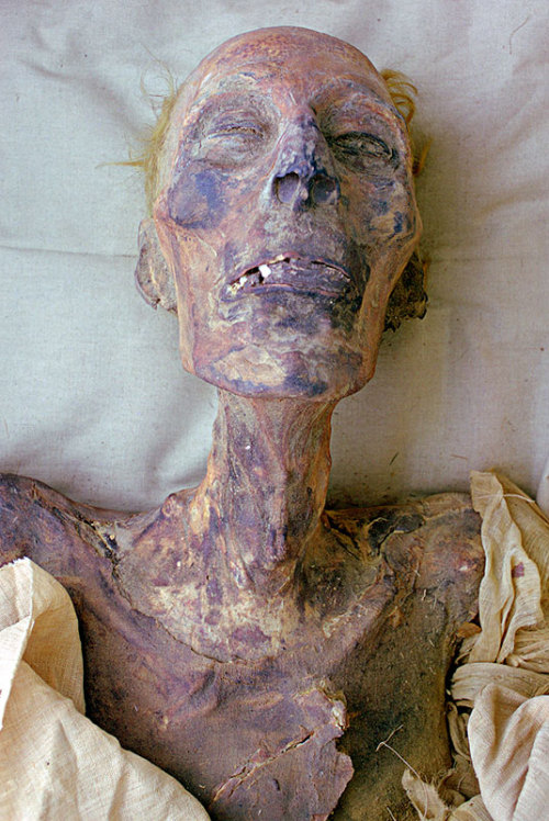 The Mummy of Ramesses IIThe mummy of Ramesses II was among those found in the royal cache (DB320) at