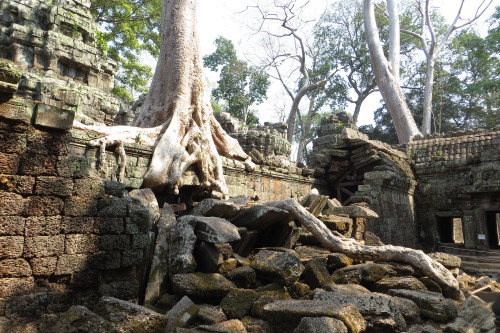 Siem Reap Cambodia