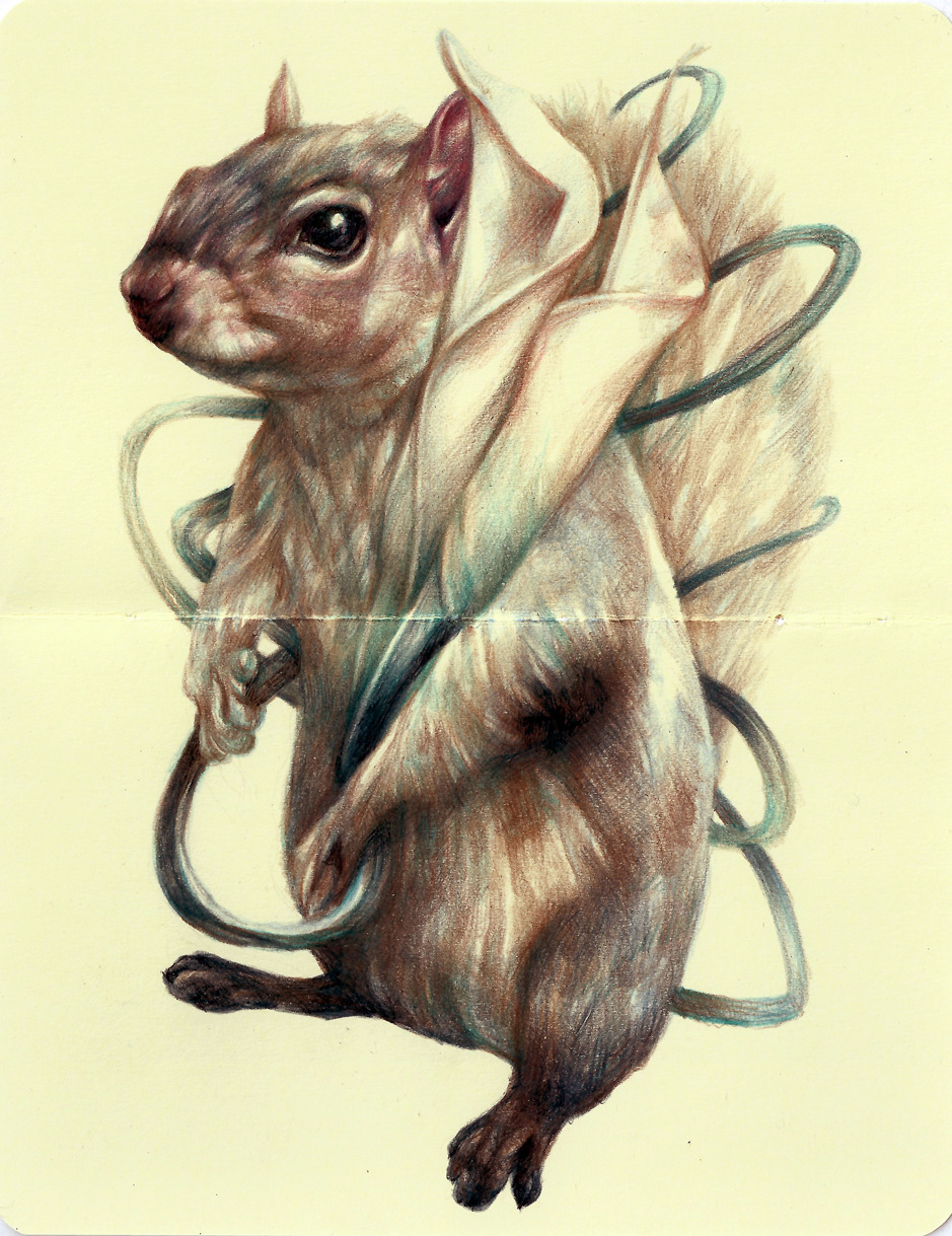 marcomazzoni:  “The Policeman” 2013, colored pencils and ink on moleskine paper,