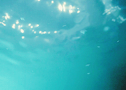 wolfsanatomy:   Teen Wolf: Fire + Water  
