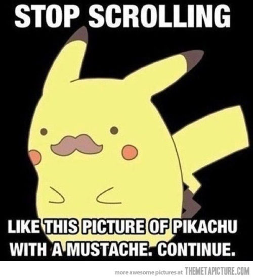 srsfunny:  Time to take a pause…http://srsfunny.tumblr.com/ 