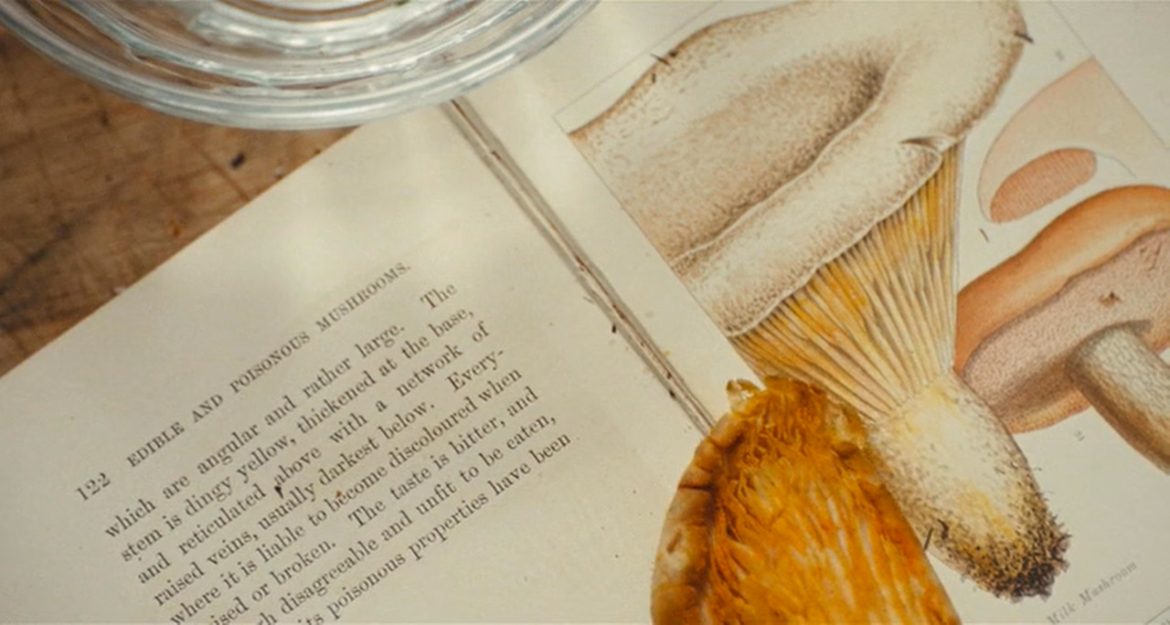 vacant-cinema:  Vacant Cinema: Phantom Thread (2017) dir. Paul Thomas AndersonWhatever