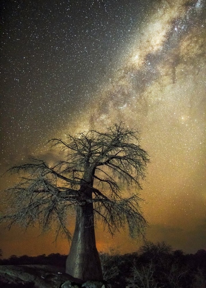 archatlas:  Diamond Nights Beth Moon 