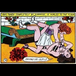 ronevry:  #oldcomics #comicbooks #catfight