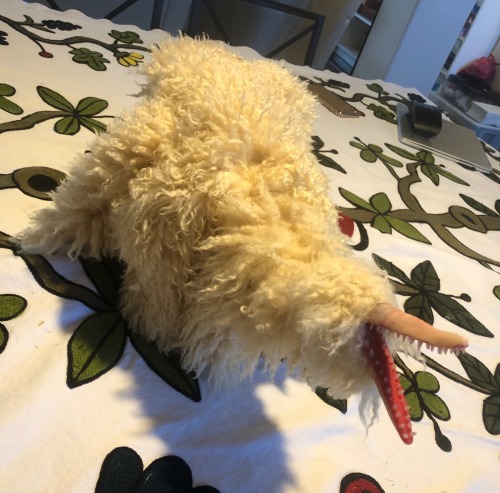 Her Name Is Sweet Cream And She’s The Biggest Creature I’ve Made So Far, And She’s Made With Real