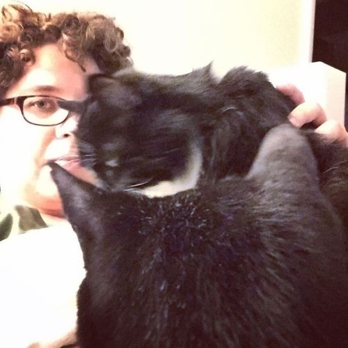 feminismandbooks: feminismandbooks: When both cats want attention #natasha #jamaica #adventuresofnat