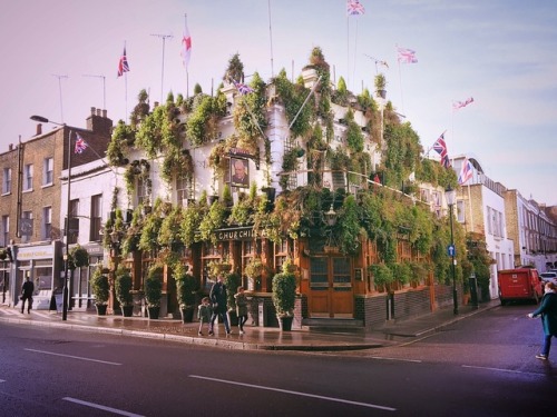 Churchill Arms - Londres © 2017 Sylvain G. - Toute reproduction interdite - Tous droits réservés