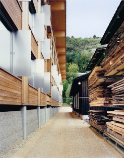 subtilitas:  Meili &amp; Peter - School of timber engineering, Biel 1999 (previously). Photos &copy; Gerog Aerni. 