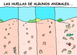 danielabelenuniverse:  yooguii:  Quién es el verdadero animal?  sobran humanos pero falta humanidad..