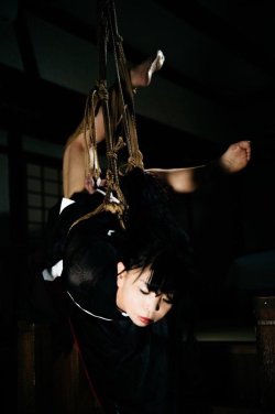 hornyhouseofhorror:Kinbaku Kasumi HouraiModel