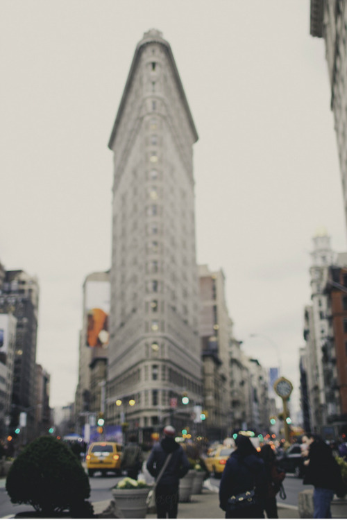 dream