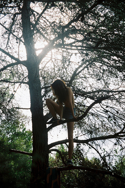 left-nut:  untitled by Berta Pfirsich on Flickr.