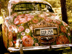 hippieseurope:  The Rose Royce….☮❤☮❤