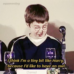 lolsomeone-actually:spiderzoe:yuur-guardian-angel:Things Harry Potter Actors sayThis is why I love t
