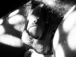 clstrreblog:  clstrreblog:  My softie in B/W…  Soft in B/W 