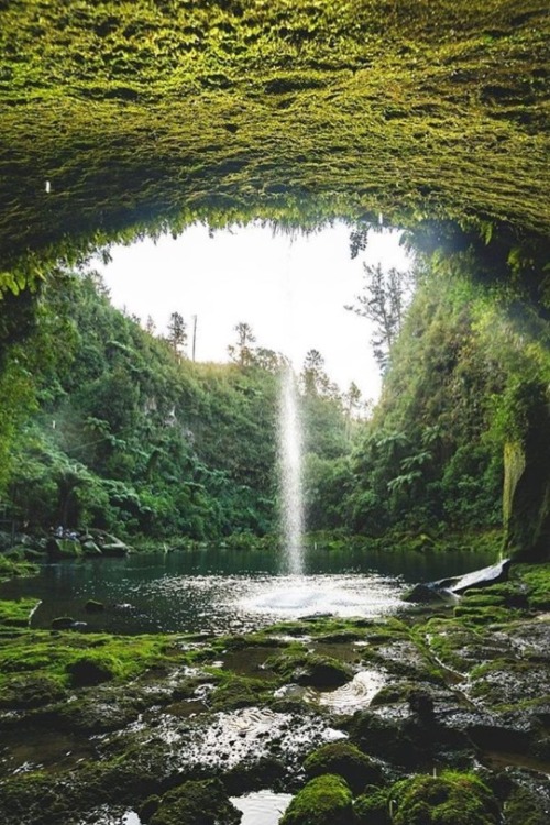 maureen2musings:The Secret Falls of Tauranga@talman