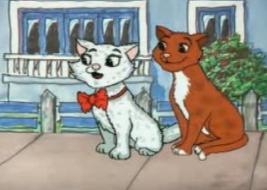 so what’s up with dingo pictures
