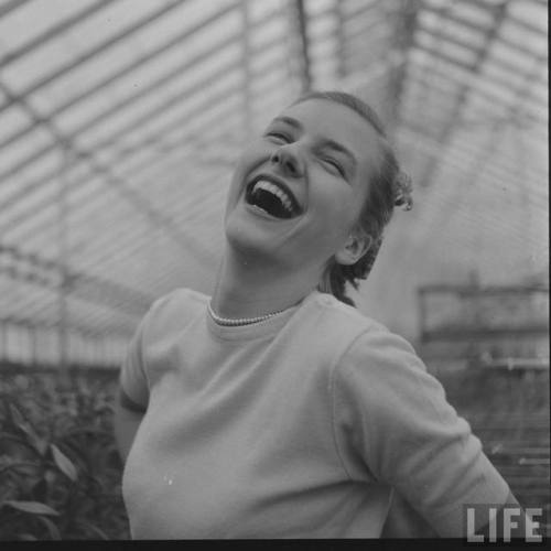 Shooting a possible cover in the greenhouse(Yale Joel. 1951)