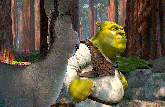 Burro Do Shrek GIF