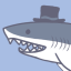sharkinhats