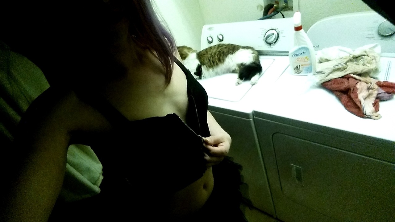 Laundry day with my kitty, Viserion.
