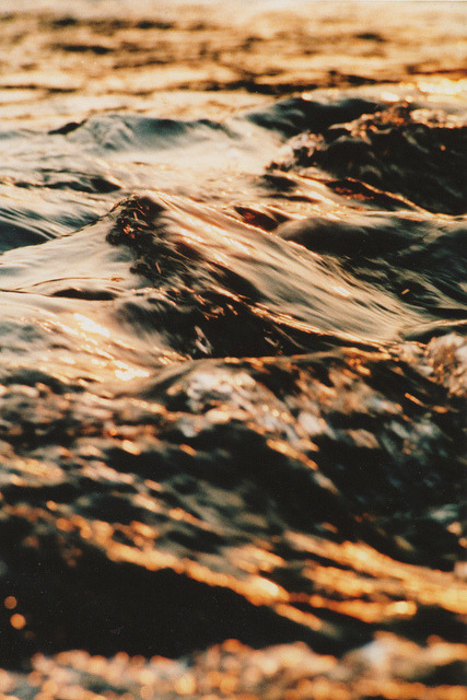 brutalgeneration:  untitled by Lauren Davison on Flickr.