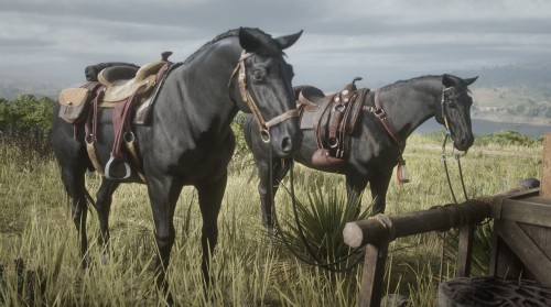 The girl gang in “Red Dead Online”.