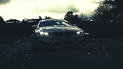 artoftheautomobile:  BMW M4 Coupe