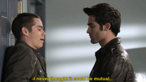 sterek