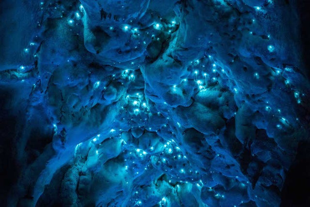 landscape-photo-graphy:  Glow in the Dark Cave Photographer Joseph Michael’s project