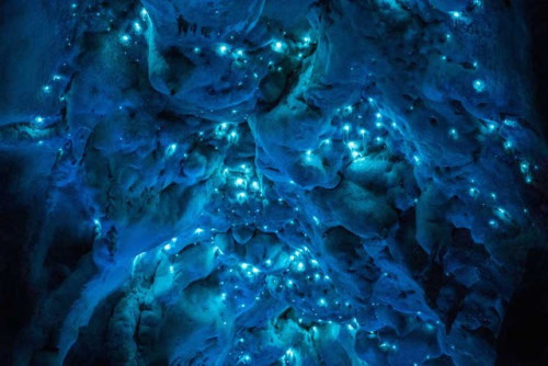 landscape-photo-graphy: Glow in the Dark Cave Photographer Joseph Michael’s project titled Lum