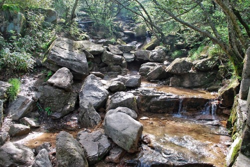 wanderlustfuldays: Huangshan, China