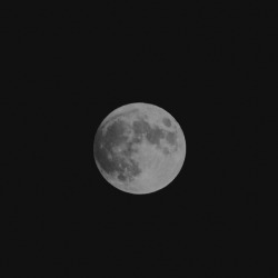 galadrils:  16.07.2019 / full moon