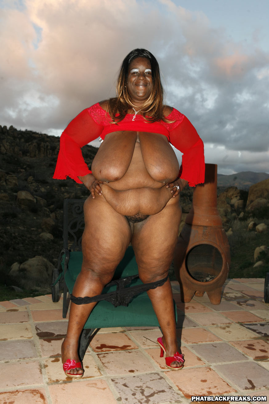 CocoBro4SSBBWnBBW 50,700+ followers